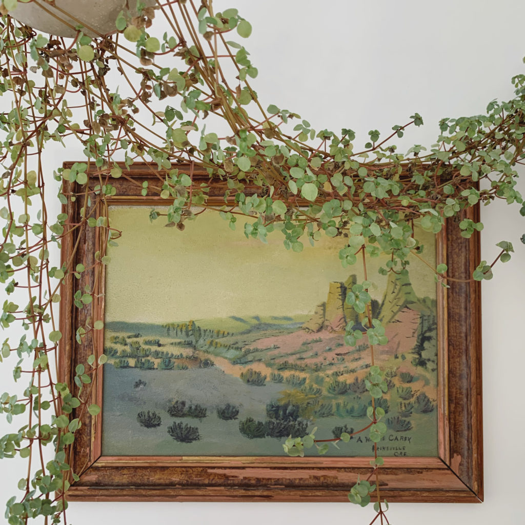 A painting of the desert is hung on the wall with a trailing, green, hanging plant draped in front of it.